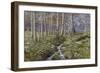 Snowdrop Dell-Bill Makinson-Framed Giclee Print