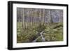 Snowdrop Dell-Bill Makinson-Framed Giclee Print