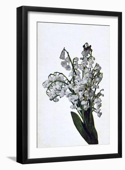 Snowdrop, French Flower Postcard, C1900-null-Framed Premium Giclee Print