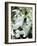 Snowdrop (Galanthus Nivalis) Flowers-Cordelia Molloy-Framed Photographic Print