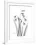 Snowdrop Gray-Albert Koetsier-Framed Premium Giclee Print