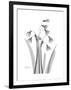 Snowdrop Gray-Albert Koetsier-Framed Premium Giclee Print