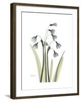 Snowdrop Portrait-Albert Koetsier-Framed Premium Giclee Print