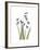 Snowdrop Portrait-Albert Koetsier-Framed Premium Giclee Print