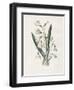 Snowdrop & Snowflake-Gwendolyn Babbitt-Framed Art Print