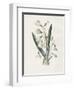 Snowdrop & Snowflake-Gwendolyn Babbitt-Framed Art Print