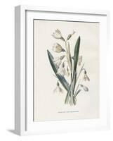 Snowdrop & Snowflake-Gwendolyn Babbitt-Framed Art Print