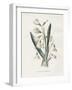 Snowdrop & Snowflake-Gwendolyn Babbitt-Framed Art Print