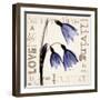 Snowdrop Summer-Albert Koetsier-Framed Photographic Print