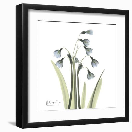 Snowdrop-Albert Koetsier-Framed Art Print