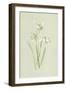 Snowdrop-Frederick Edward Hulme-Framed Giclee Print