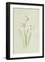 Snowdrop-Frederick Edward Hulme-Framed Giclee Print