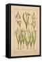 Snowdrop-null-Framed Stretched Canvas