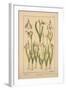 Snowdrop-null-Framed Giclee Print