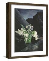 Snowdrops, 1995-Norman Hollands-Framed Photographic Print