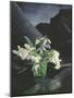 Snowdrops, 1995-Norman Hollands-Mounted Photographic Print