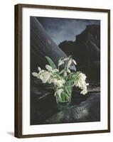 Snowdrops, 1995-Norman Hollands-Framed Photographic Print