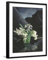 Snowdrops, 1995-Norman Hollands-Framed Photographic Print