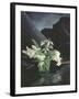 Snowdrops, 1995-Norman Hollands-Framed Photographic Print