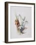 Snowdrops, 2001-Rebecca John-Framed Giclee Print