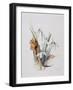 Snowdrops, 2001-Rebecca John-Framed Giclee Print