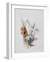 Snowdrops, 2001-Rebecca John-Framed Giclee Print