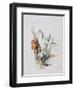 Snowdrops, 2001-Rebecca John-Framed Giclee Print