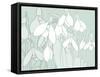 Snowdrops  2017  (digital)-Sarah Hough-Framed Stretched Canvas