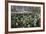 Snowdrops in Woodland, Near Stow-On-The-Wold, Cotswolds, Gloucestershire, England, UK-Stuart Black-Framed Photographic Print