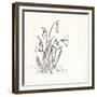 Snowdrops-The Vintage Collection-Framed Art Print