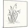 Snowdrops-The Vintage Collection-Mounted Art Print