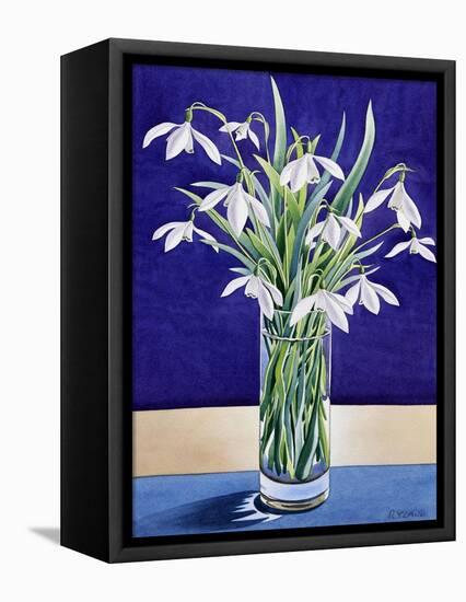 Snowdrops-Christopher Ryland-Framed Stretched Canvas