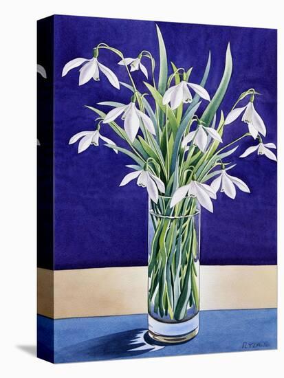 Snowdrops-Christopher Ryland-Stretched Canvas