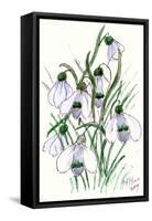 Snowdrops-Nell Hill-Framed Stretched Canvas