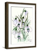 Snowdrops-Nell Hill-Framed Giclee Print