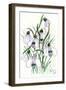Snowdrops-Nell Hill-Framed Giclee Print
