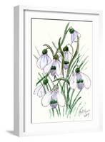 Snowdrops-Nell Hill-Framed Giclee Print