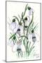 Snowdrops-Nell Hill-Mounted Giclee Print
