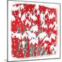 Snowdrops-Jenny Frean-Mounted Giclee Print