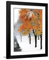 Snowfall III-Burney Lieberman-Framed Art Print