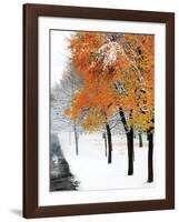 Snowfall III-Burney Lieberman-Framed Art Print