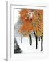 Snowfall III-Burney Lieberman-Framed Art Print