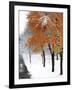 Snowfall III-Burney Lieberman-Framed Giclee Print