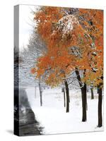 Snowfall III-Burney Lieberman-Stretched Canvas