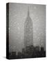 Snowfall in New York City-Christopher C Collins-Stretched Canvas