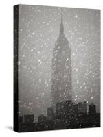 Snowfall in New York City-Christopher C Collins-Stretched Canvas