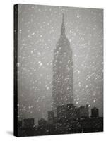 Snowfall in New York City-Christopher C Collins-Stretched Canvas