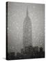 Snowfall in New York City-Christopher C Collins-Stretched Canvas