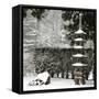 Snowfall in Portland Japanese Garden, Portland, Oregon, USA-William Sutton-Framed Stretched Canvas