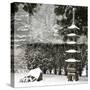 Snowfall in Portland Japanese Garden, Portland, Oregon, USA-William Sutton-Stretched Canvas
